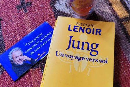 Lire la suite à propos de l’article Jung, un voyage vers soi